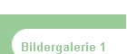 Bildergalerie 1