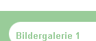 Bildergalerie 1